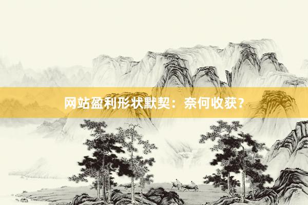 网站盈利形状默契：奈何收获？