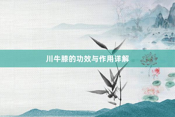 川牛膝的功效与作用详解