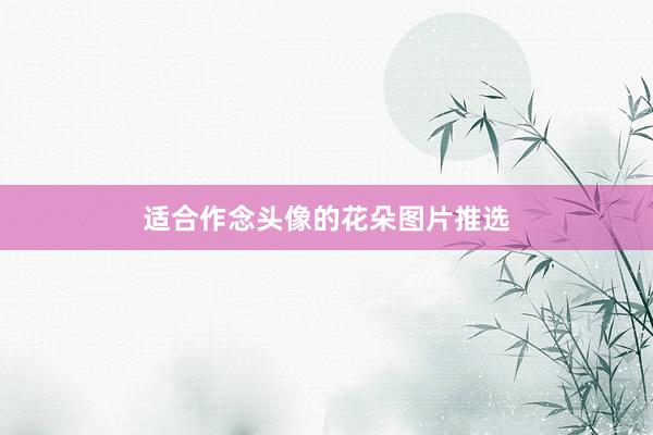 适合作念头像的花朵图片推选